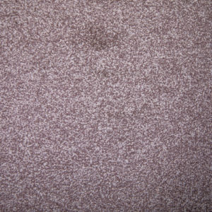 Brown Saxony Carpet