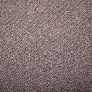 Sand Shade Carpet